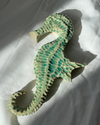 Hippocampe Lido Clair