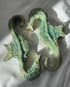 Hippocampe Lido Clair