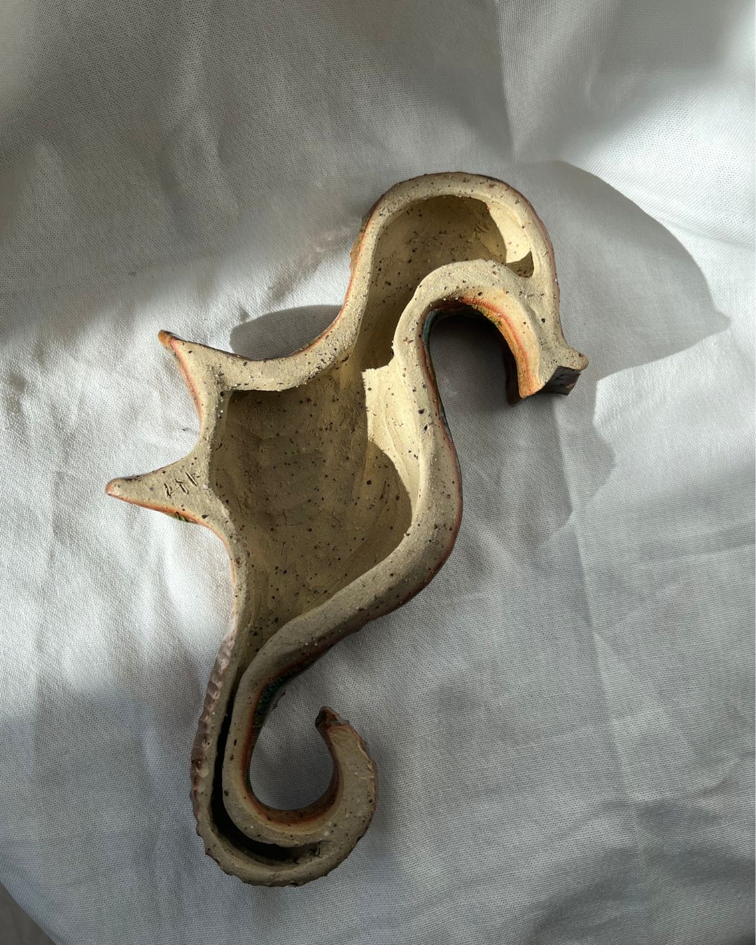 Hippocampe Lido Brun