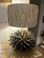 INITIATION MODELAGE - 2H