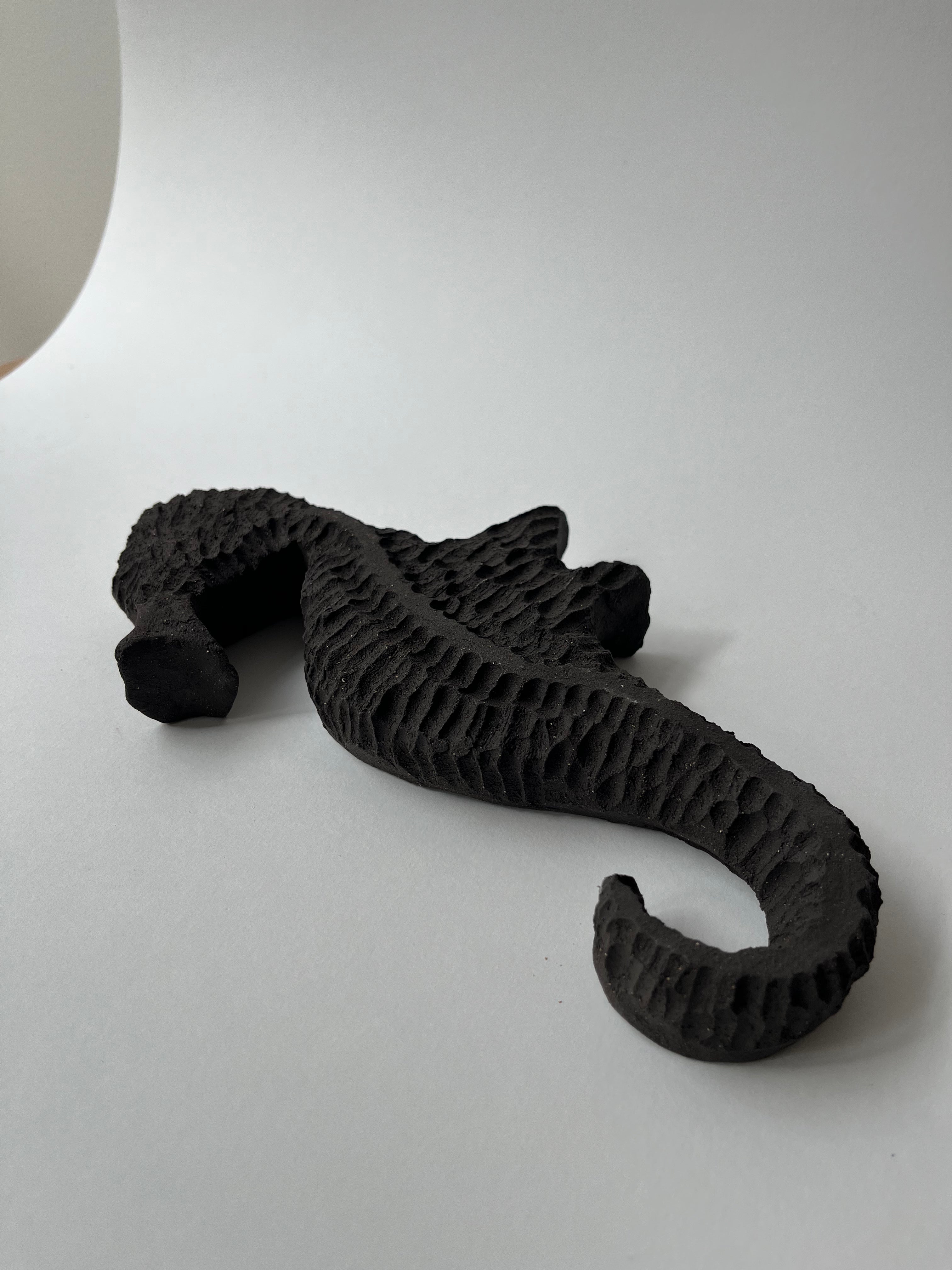 Hippocampe Lido Noir