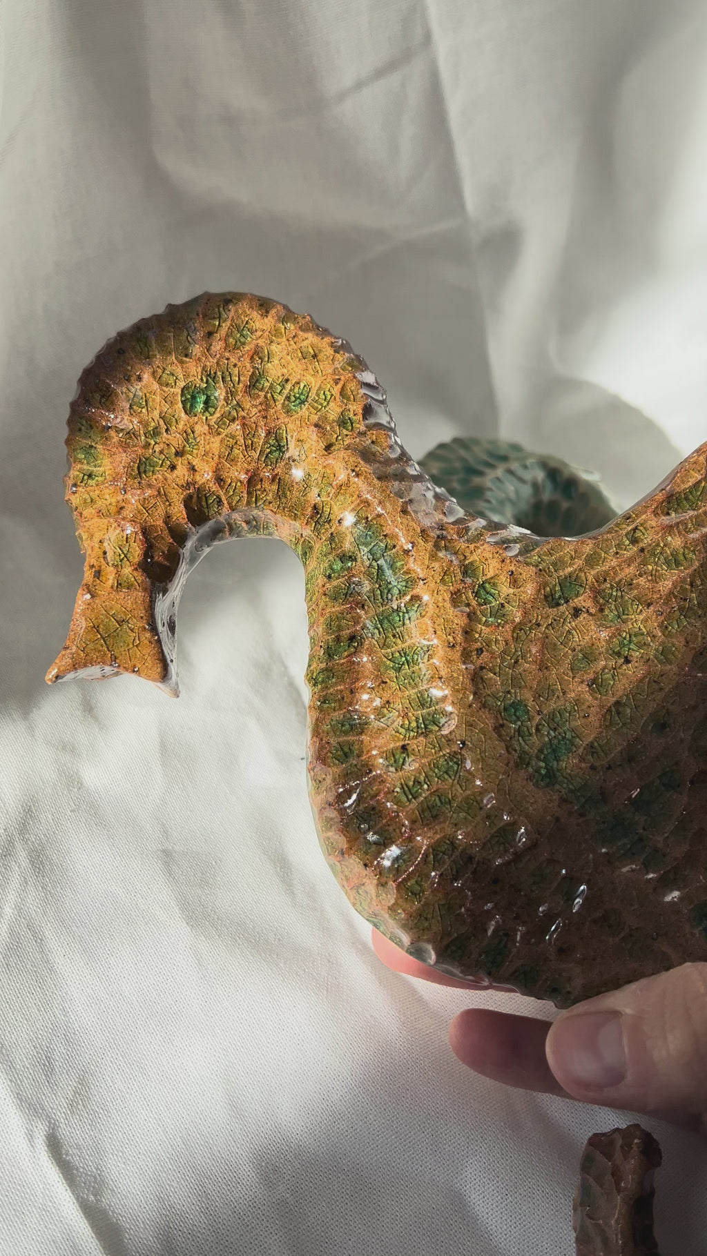 Hippocampe Lido Brun